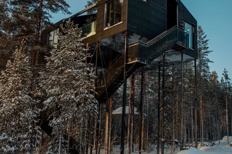 Treehotel Building